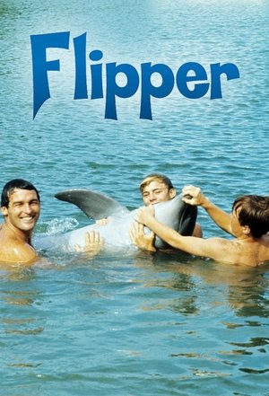 Flipper (1964-1967)