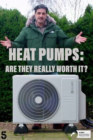 Heat Pumps Are They Really Worth It (2025)