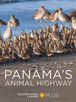 Panamas Animal Highway (2017) Poster