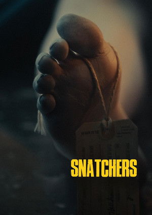 Snatchers (2025)