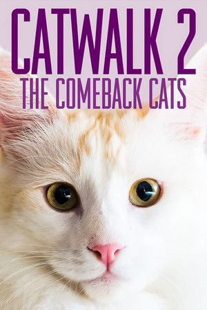 Catwalk 2 The Comeback Cats (2022)