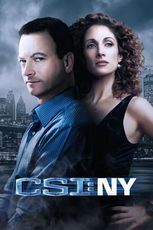 CSI: NY (20042013)