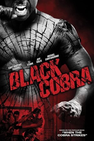 Black Cobra (Video 2012)