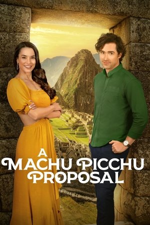 A Machu Picchu Proposal (2025)