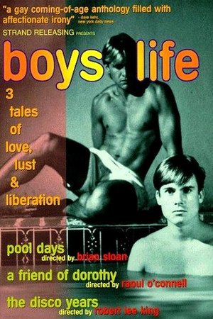 Boys Life Three Stories of Love, Lust, and Liberation (1994)