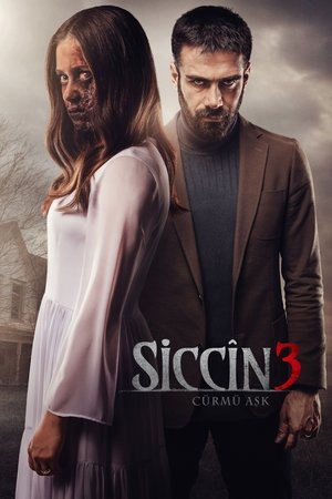 Siccin 3: Curmu Ask (2016)