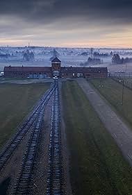 Auschwitz Countdow