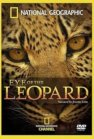 Eye of the Leopard