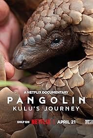 Pangolin Kulus Jou