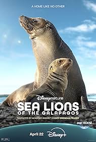 Sea Lions of the G