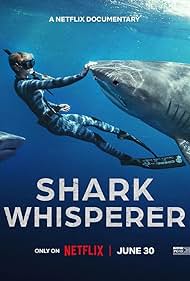 Shark Whisperer (2