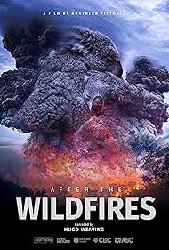 After the Wildfires (2020)