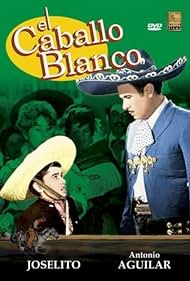 El caballo blanco 