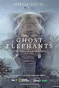 Ghost Elephants (2