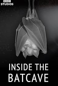 Inside the Bat Cav