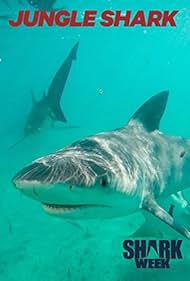 Jungle Shark (2016