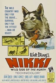 Nikki, Wild Dog of
