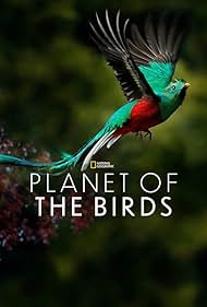 Planet of the Bird