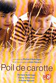 Poil de carotte (2