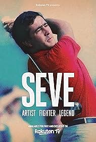 SEVE Artist Fighte