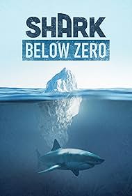 Shark Below Zero (