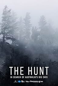 The Hunt In Search