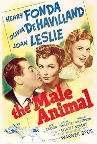 The Male Animal (1